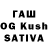 Псилоцибиновые грибы Psilocybine cubensis Fox GAG