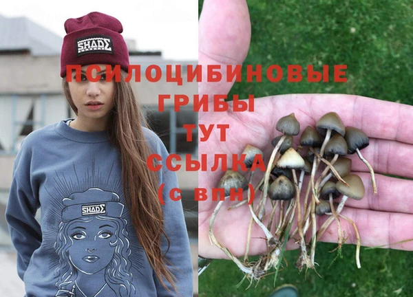 индика Алзамай