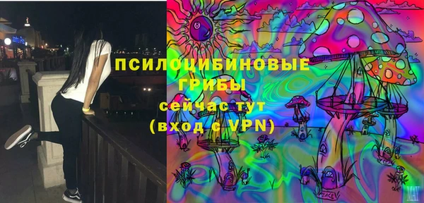 индика Алзамай