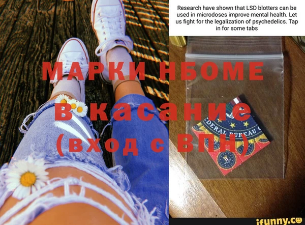 индика Алзамай