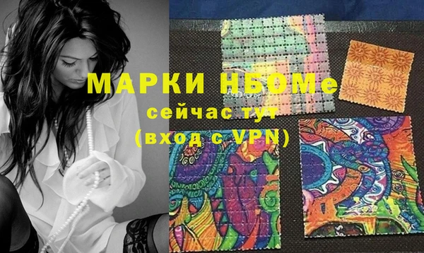 индика Алзамай