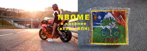 индика Алзамай