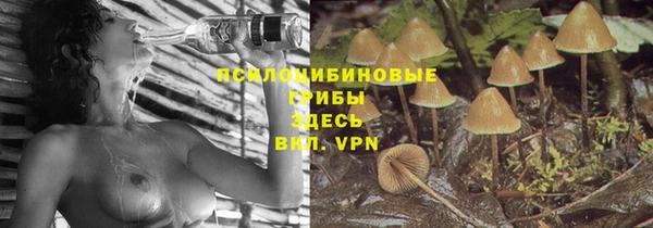 твердый Алексин
