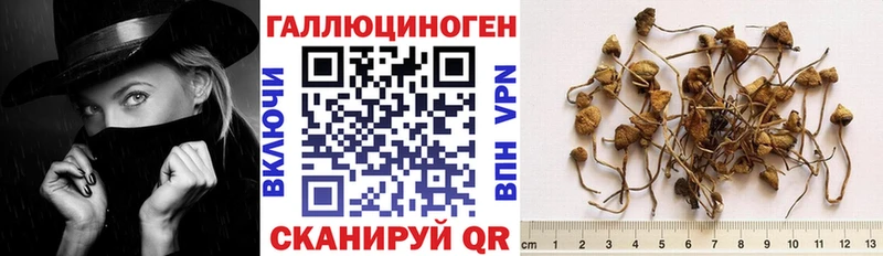 kraken вход Лобня Галлюциногенные грибы прущие грибы