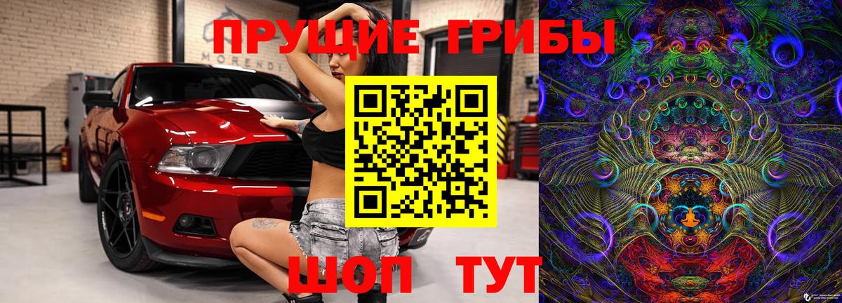 Лобня  Псилоцибиновые грибы Cubensis  Вход с VPN 
